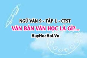 Văn bản văn học là gì? Hình thức nghệ thuật của văn bản văn học lớp 9